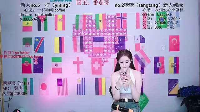 CCTW-100 webcam