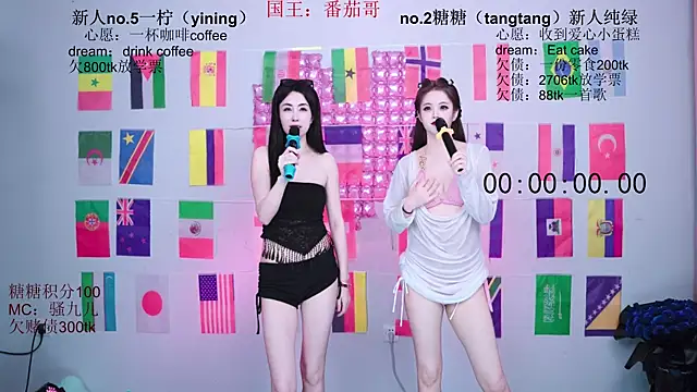 CCTW-100 webcam
