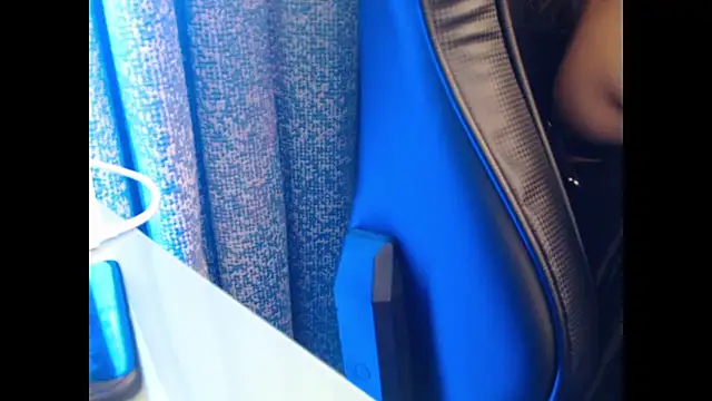 Model29 webcam