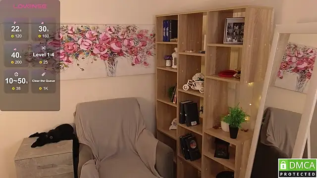 Sue_Sanders webcam
