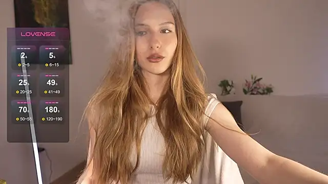 Vegas_V webcam