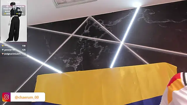 AerumChae webcam