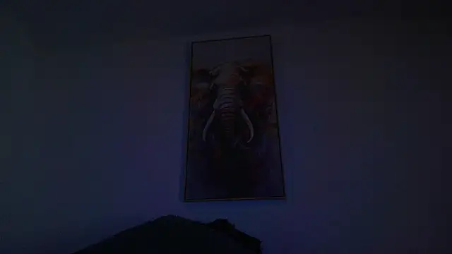 JONAS_SMITH_ webcam