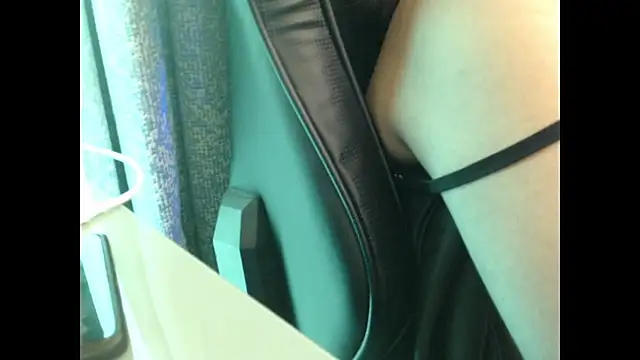 Model29 webcam