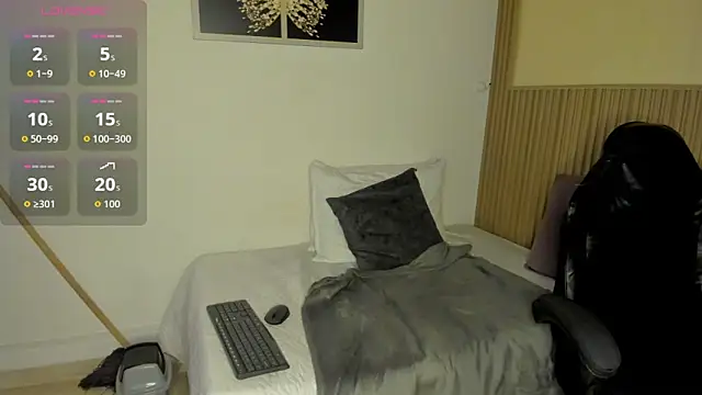 summer_night_ webcam