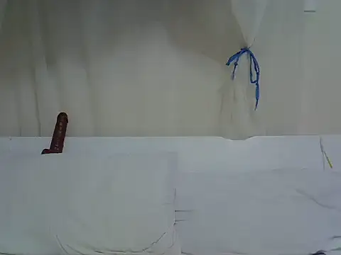 browndolly12 webcam
