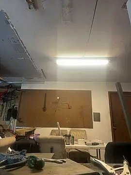 Buffshagswell webcam