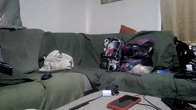 TWiSTYTheTwizted webcam