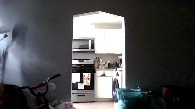 BedazedFirefly webcam