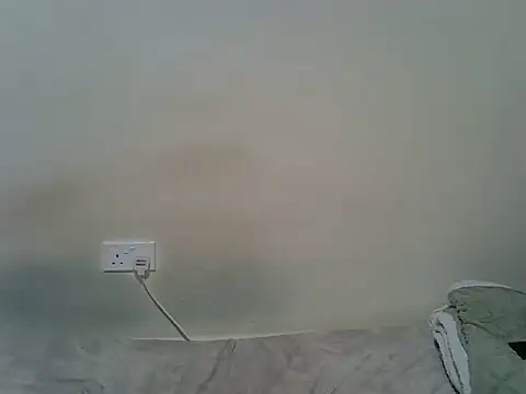 berrynova webcam