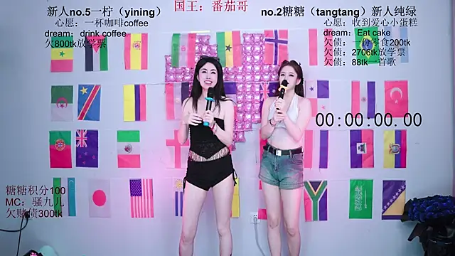 CCTW-100 webcam