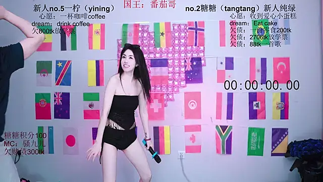 CCTW-100 webcam