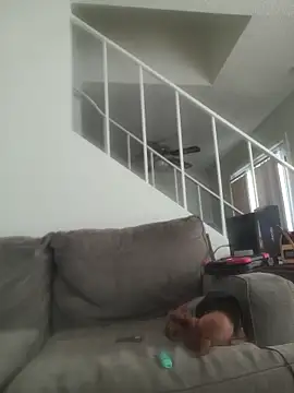 yourMasterisBored webcam
