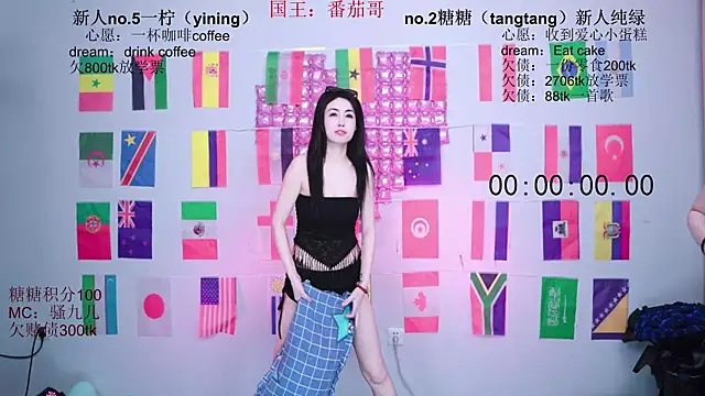 CCTW-100 webcam