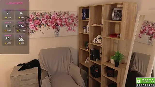 Sue_Sanders webcam