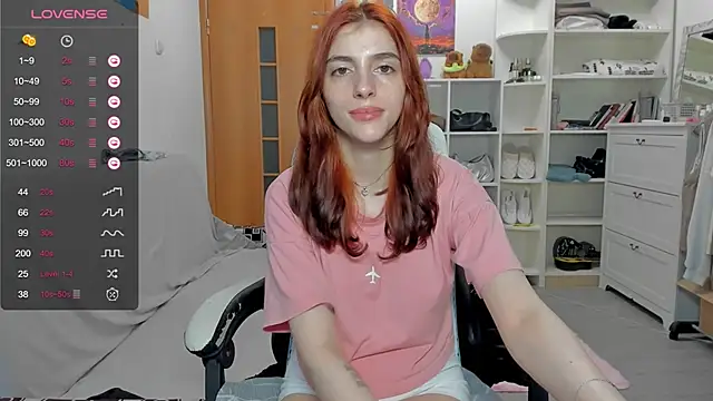 broosnica1 webcam