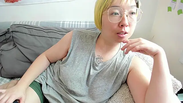 luxgray webcam