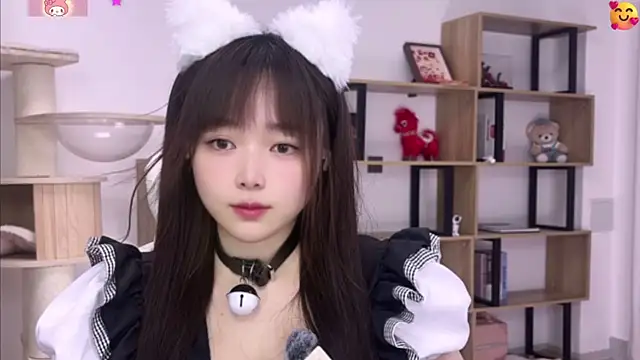SakuraCat6 webcam