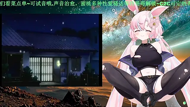 Mitao_ webcam