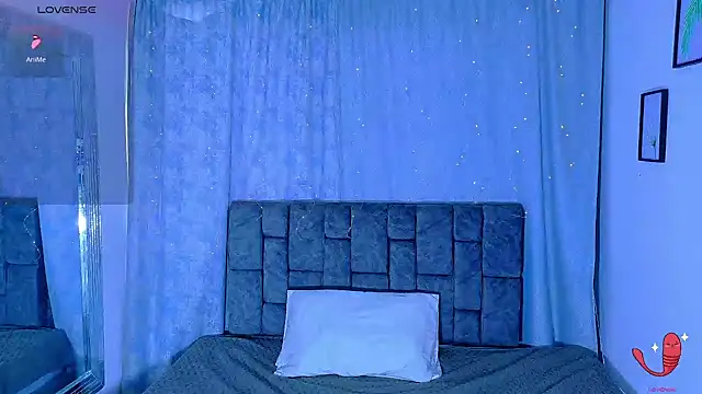 Dantekent webcam