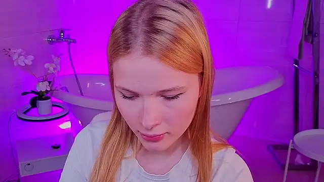 Brietdget webcam