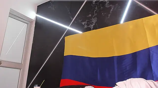 AerumChae webcam