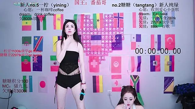 CCTW-100 webcam