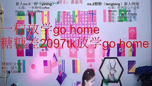 CCTW-100 webcam