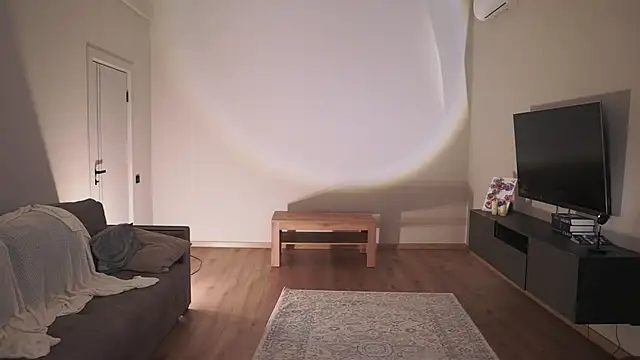 AdaBell webcam