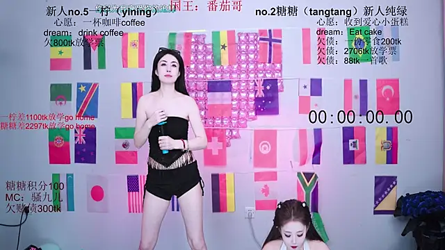 CCTW-100 webcam