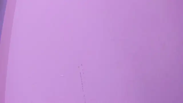 camila_scoth webcam