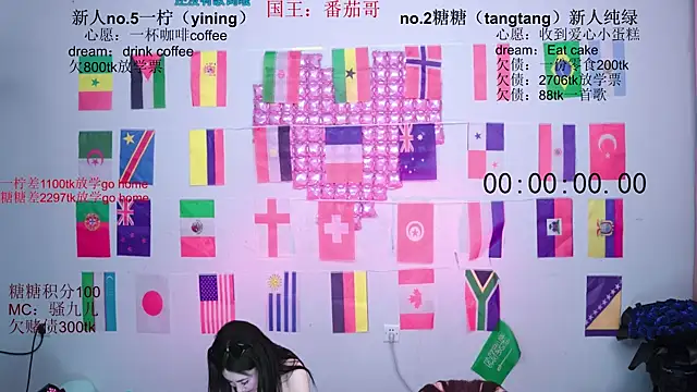 CCTW-100 webcam