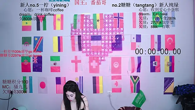 CCTW-100 webcam