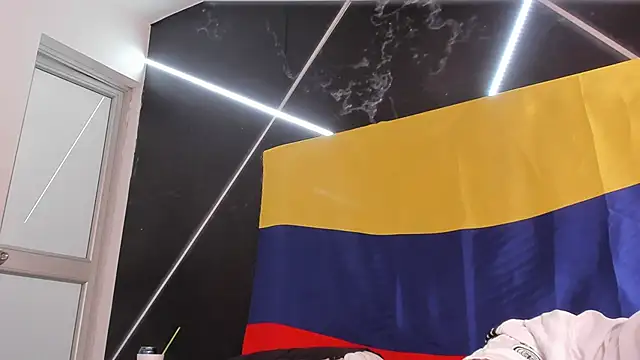 AerumChae webcam