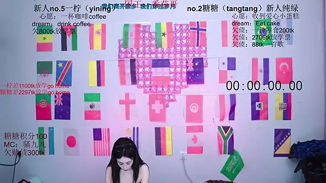 CCTW-100 webcam
