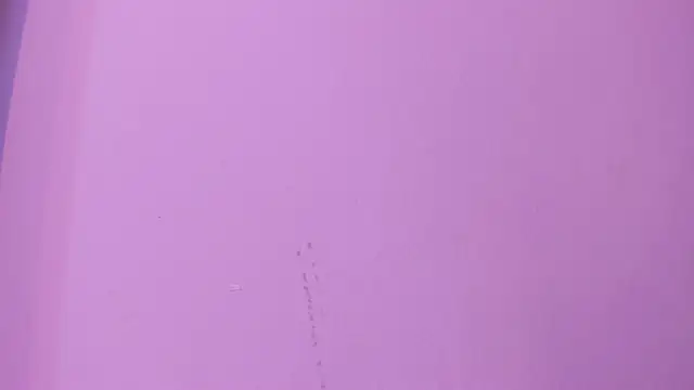 camila_scoth webcam