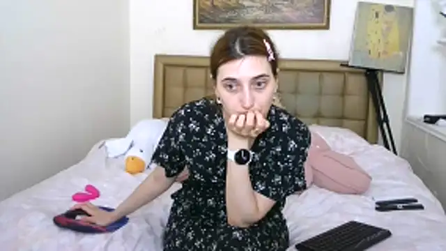 Iren webcam