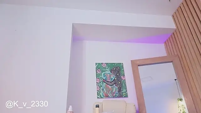 sofiesoft webcam