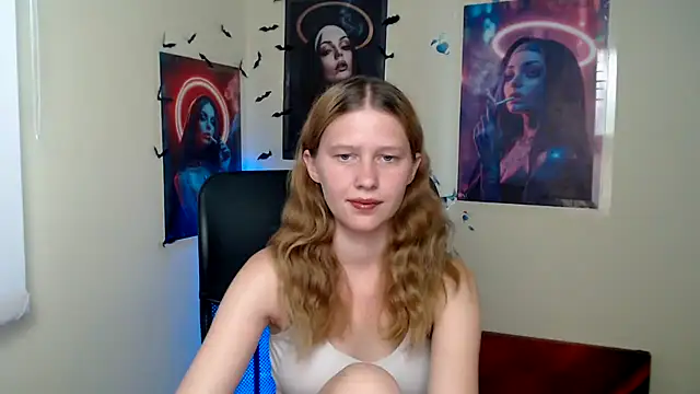 StellaCRL webcam