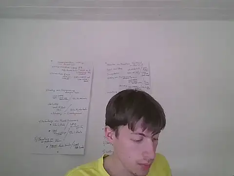 VelvetRagottiOG webcam