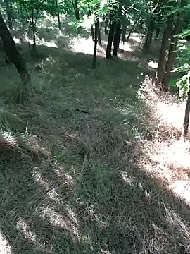 sile47 webcam