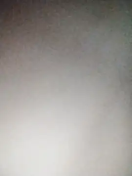 ttmta webcam