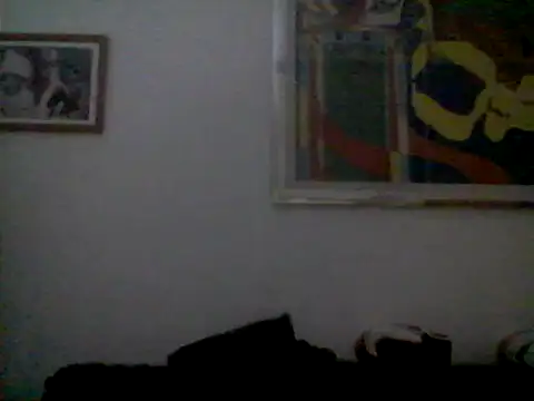 AMIRDIB2025 webcam