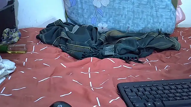 langiey webcam