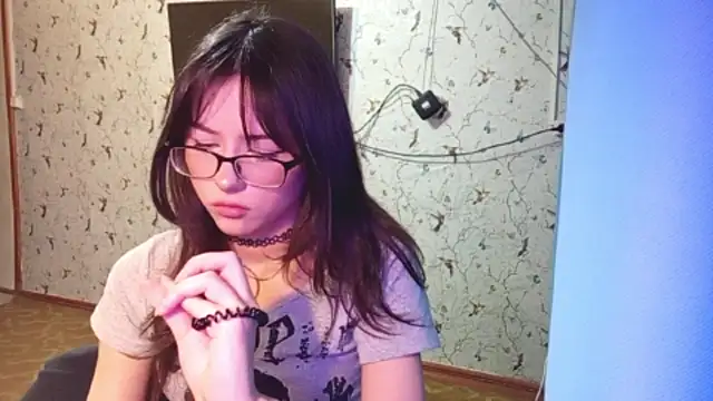 DelicaBrome webcam