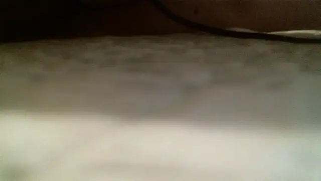 LilDaddyX webcam