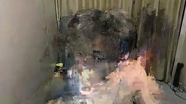 wssoo11 webcam