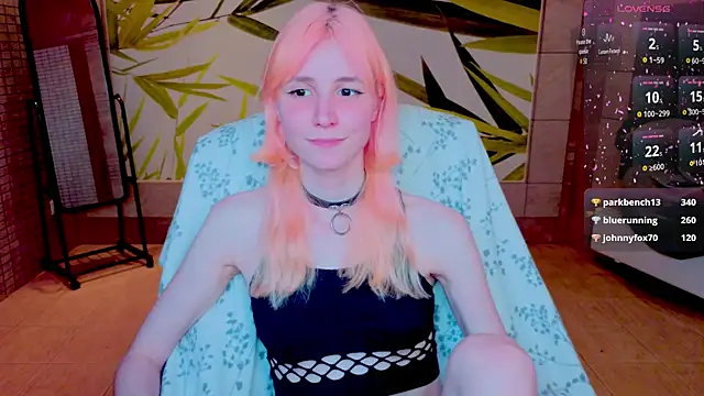 fleximona webcam
