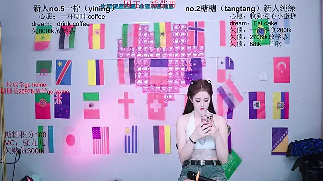 CCTW-100 webcam