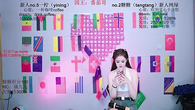 CCTW-100 webcam